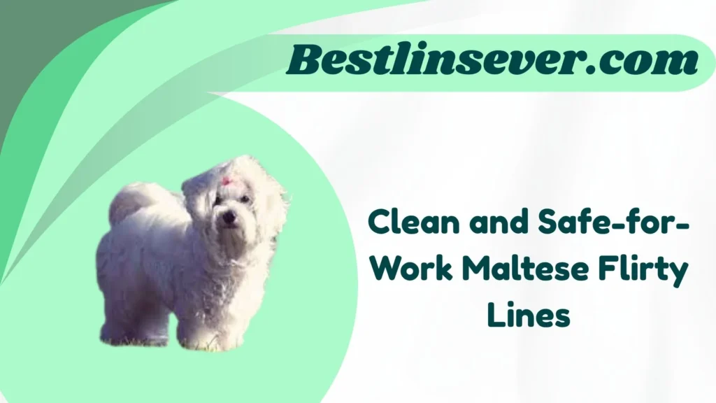 Clean and Safe-for-Work Maltese Flirty Lines