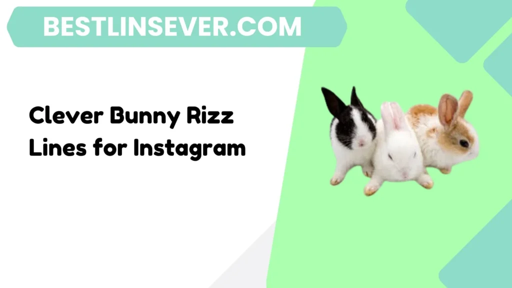 Clever Bunny Rizz Lines for Instagram