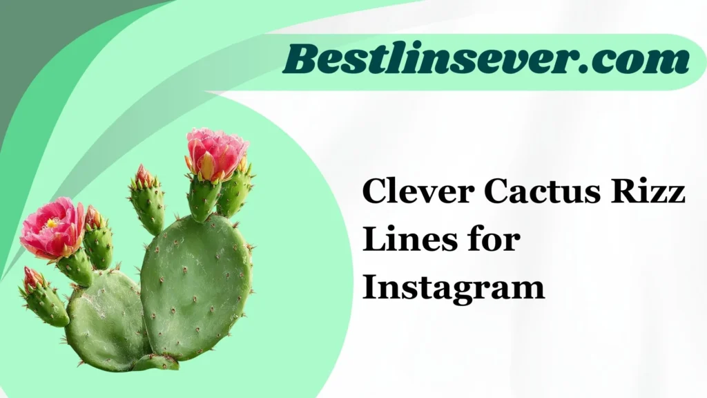 Clever Cactus Rizz Lines for Instagram