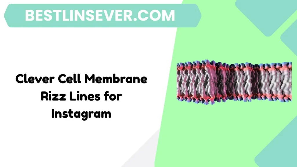 Clever Cell Membrane Rizz Lines for Instagram