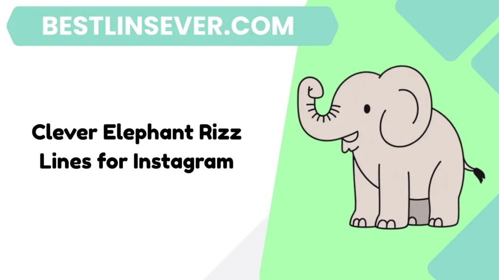 Clever Elephant Rizz Lines for Instagram