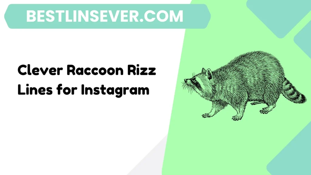 Clever Raccoon Rizz Lines for Instagram
