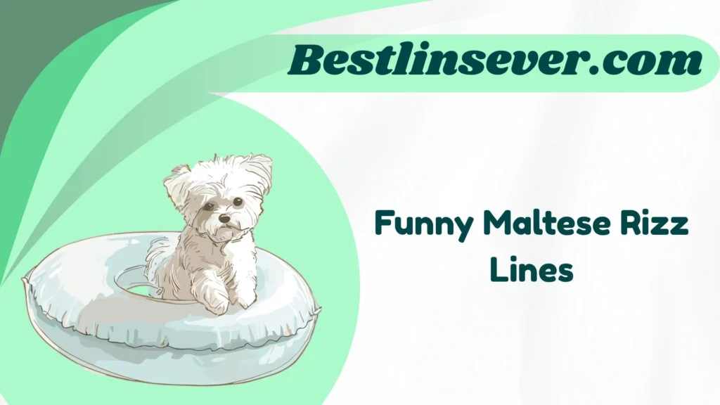 Funny Maltese Rizz Lines