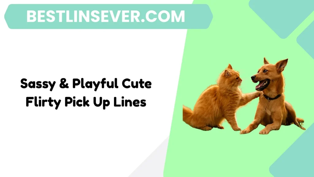 Sassy & Playful Cute Flirty Pick Up Lines