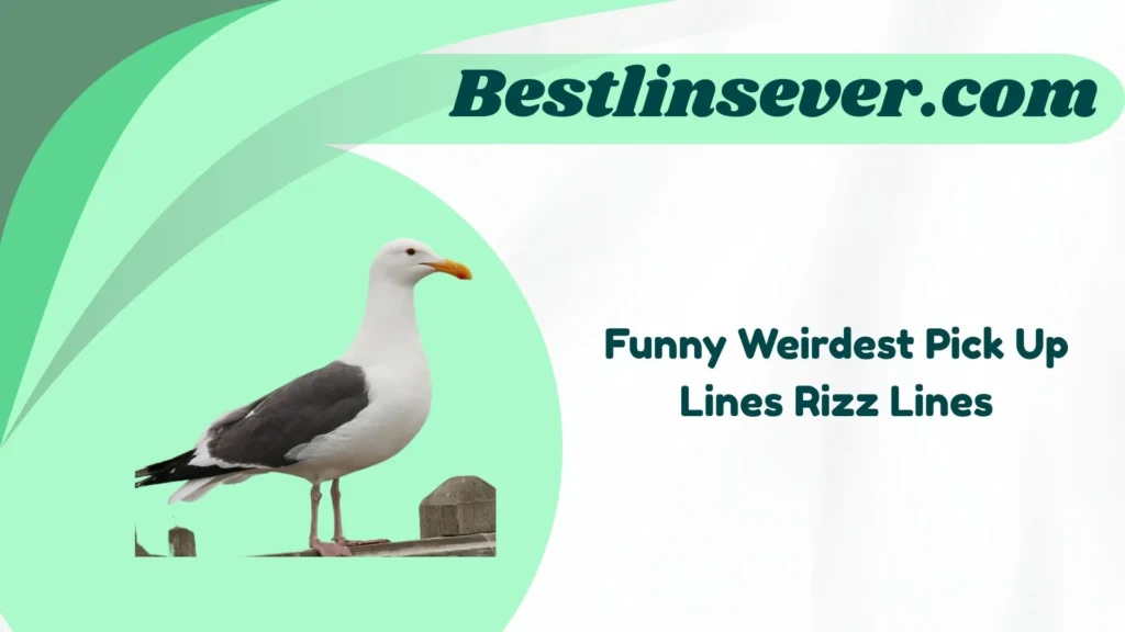 Funny Weirdest Pick Up Lines Rizz Lines