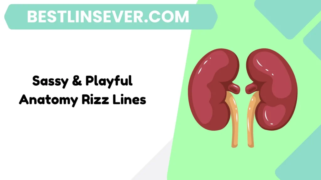 Sassy & Playful Anatomy Rizz Lines