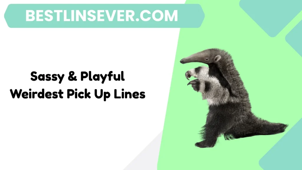 Sassy & Playful Weirdest Pick Up Lines