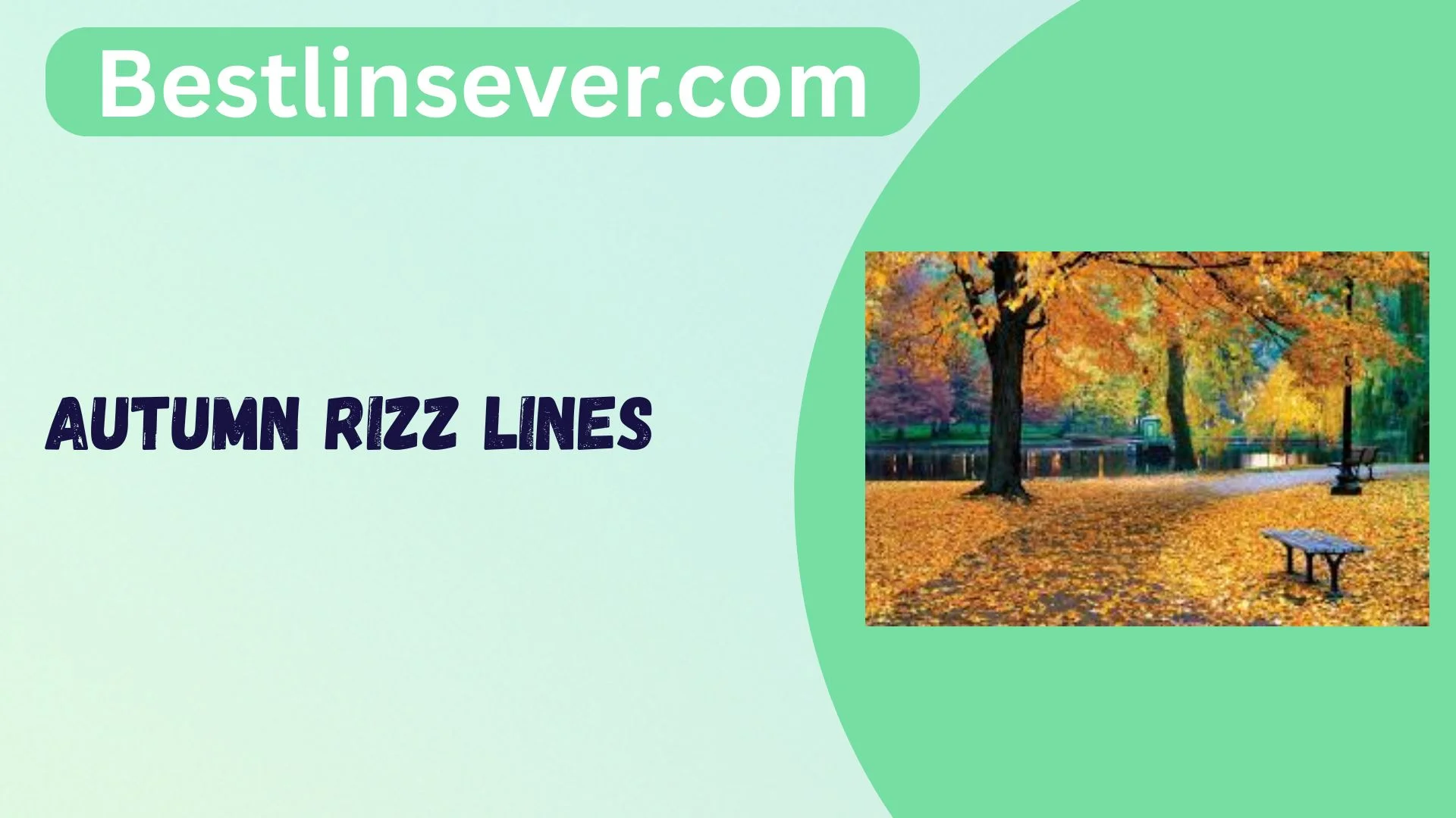 Autumn Rizz Lines