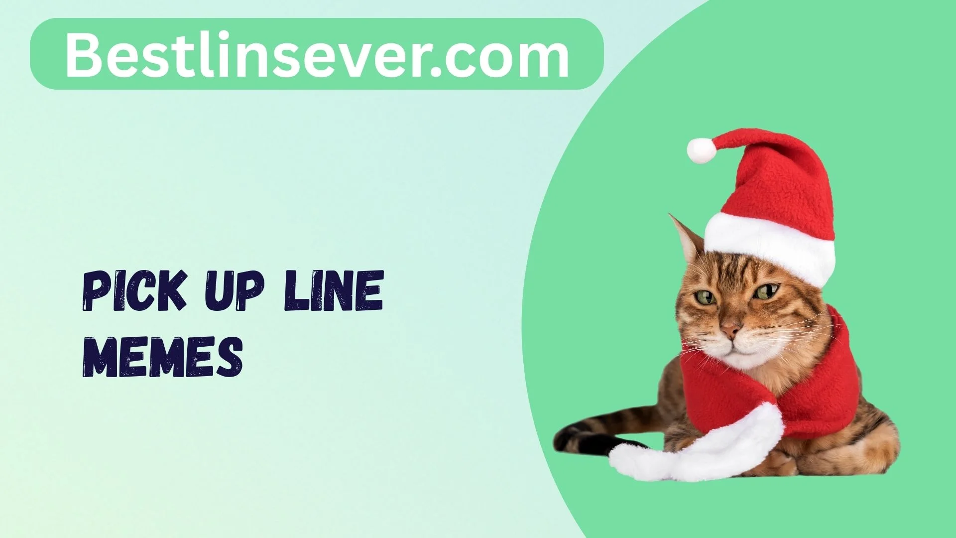 Pick Up Line Memes