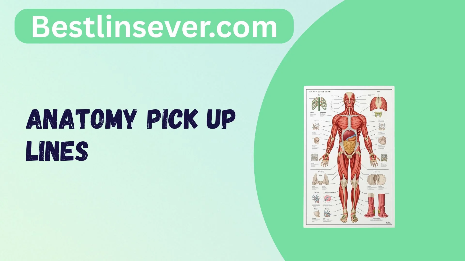 Anatomy Pick Up Lines